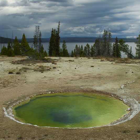 Green Spring above Yellowstone Lake, Yellowstone, Wyoming